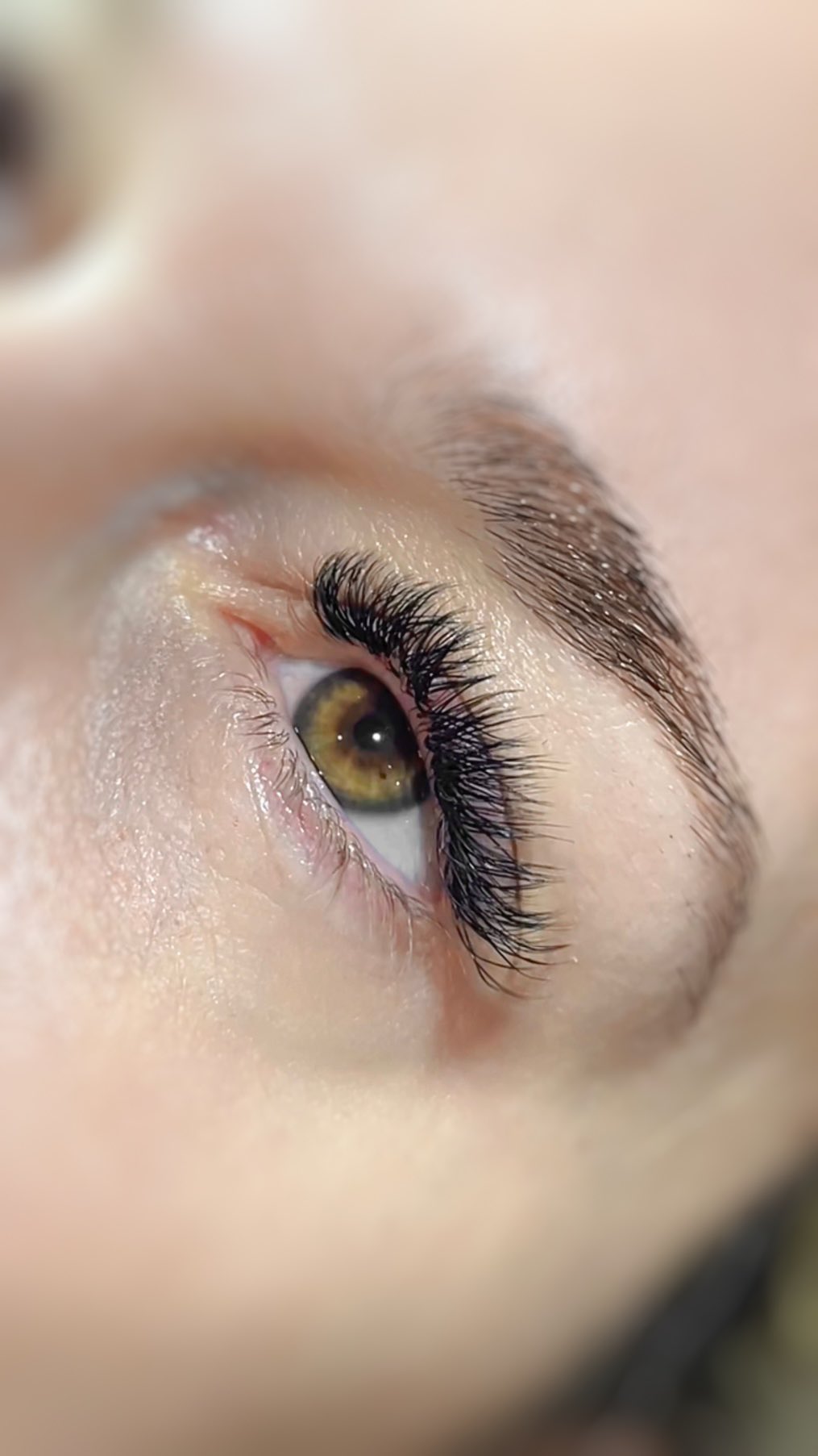 Extensiones de pestañas terminadas en un ojo color avellana, con la ceja peinada
